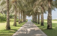   Coral Beach Resort Sharjah 4*  17