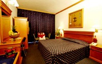 Al Khaleej Hotel 3*  2