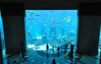   Atlantis The Palm Dubai 5*  15