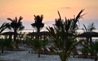   Sahara Beach Resort & Spa (ex. Royal Beach Resort & Spa) 5*  52