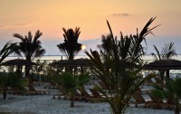   Sahara Beach Resort & Spa (ex. Royal Beach Resort & Spa) 5*  42