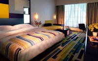   Dubai International Terminal Hotel 5*  38