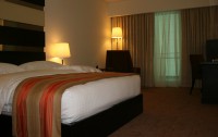   Dubai International Terminal Hotel 5*  36