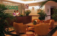   Dubai International Terminal Hotel 5*  30