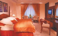   Dubai International Terminal Hotel 5*  15