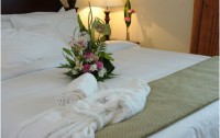   Tulip Inn Royal Suites 3*  10