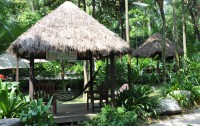   Siloso Beach  Resort 4*  16