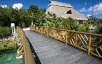   Catalonia Royal Tulum (adults Only) 4*  19