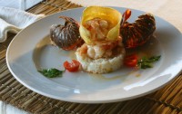 El Dorado Royale Gourmet Inclusive  5*  5