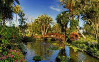   Botanico & The Oriental Spa Garden 5*  31