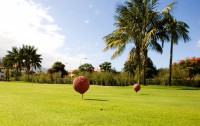   Botanico & The Oriental Spa Garden 5*  40