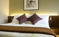   City Garden Hotel 4*  13