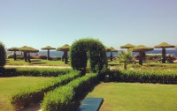   Siva Sharm Resort & Spa 4*  25