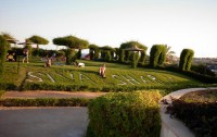   Siva Sharm Resort & Spa 4*  24