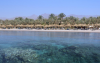 Sharm Dreams Vacation Club 5*  5