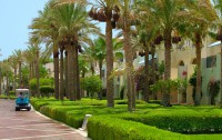   Grand Rotana Resort & Spa 5*  12