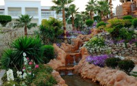 Renaissance Sharm El Sheikh Golden View Beach Resort 5*  2