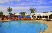   Club Paradisio El Gouna 4*  19