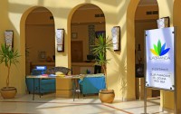   Club Paradisio El Gouna 4*  8