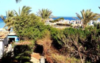   Sand Beach Resort 3*  14