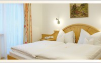 Garten Hotel Daxer 3*  5