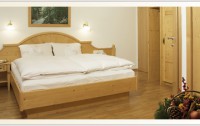 Garten Hotel Daxer 3*  3