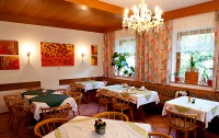 Pension Austria 3*  3