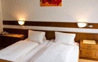 Pension Austria 3*  4