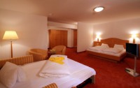   Alpine Resort Zell Am See 4*  17