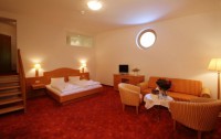   Alpine Resort Zell Am See 4*  16