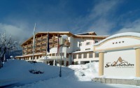   Alpine Resort Zell Am See 4*  15