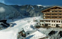   Alpine Resort Zell Am See 4*  11