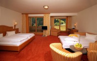   Alpine Resort Zell Am See 4*  9