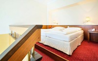   Austria Trend Hotel Schloss Wilhelminenberg 4*  18