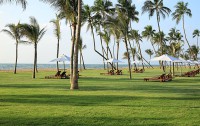   Anantaya Resort & Spa 4*  30