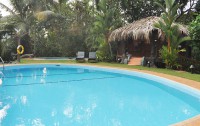   Dalmanuta Gardens Auyrvedic Resort 3*  11