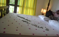 Hiru Villas Ayurveda Resort 3*  3