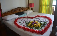 Hiru Villas Ayurveda Resort 3*  2