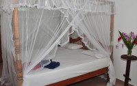   Surfcity Guest House 1*  8