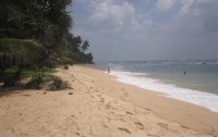 White Surfing Beach Resort 2*  4