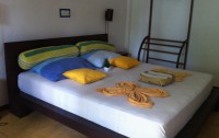   Frangipani Beach Villa 3*  11