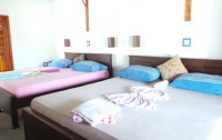   Frangipani Beach Villa 3*  10