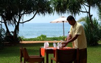   Temple Tree Resort & Spa 4*  31