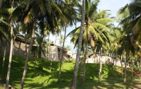   Amanwella Luxury Beach Resort 5*  15