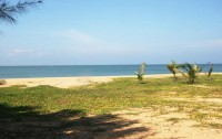   Palagama Beach 5*  36