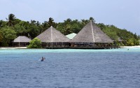   Gangehi Island Resort 5*  14