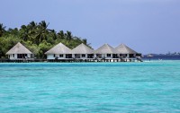   Gangehi Island Resort 5*  12