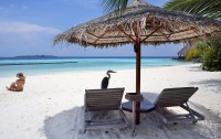   Gangehi Island Resort 5*  10