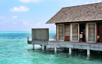 Gangehi Island Resort 5*  3