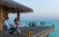   Cocoon Maldives 5*  25